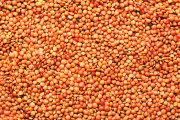 Background of orange lentils