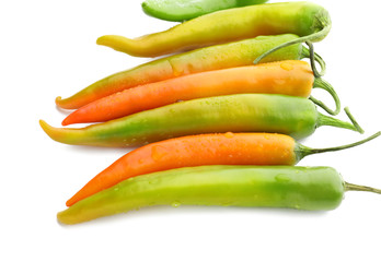 Fresh hot chili peppers on white background