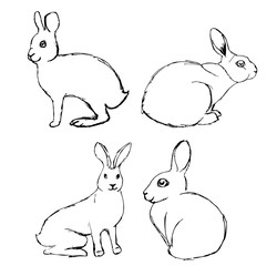 set of hares rabbits painted with a pen. Hares in different poses with a black line on a white background