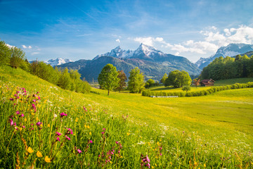 Idyllische Bergwelt in den Alpen mit blühenden Wiesen im Frühling