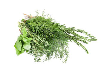 Different fresh herbs on white background