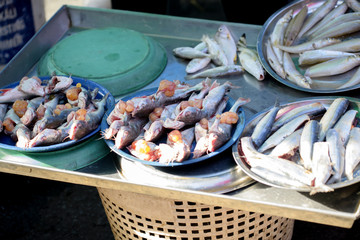 Fish, fresh seafood sold in the morning market, popular bought to cook kinds is good for health, Songkhla province country Thailand