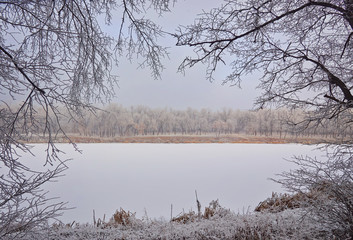 Winter landscape in the city park.