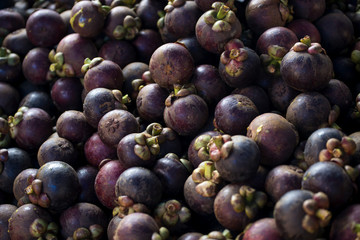 Mangosteen fruits Thailand sweet delicious popular and useful body, sale on the market