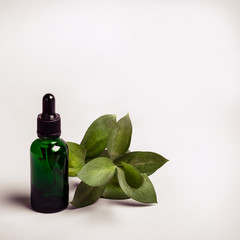 Bottle Essence Oil and green twig. Health Ecology concept
