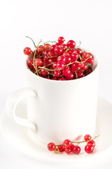 White Cup with Beautiful Tasty Ripe Red Currant Berry White Background Vertical Harvest