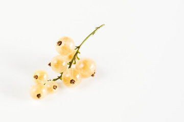 Brunch of Tasty Beautiful Ripe Currant Berry White Currant White Background Copy Space Horizontal