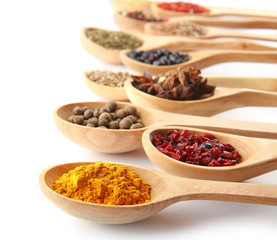 Spoons with different dry spices on white background