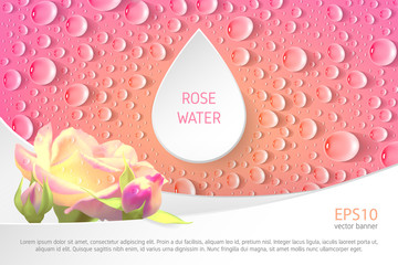 Rectangular pink banner with roses and drops. Template for advertising rose water.