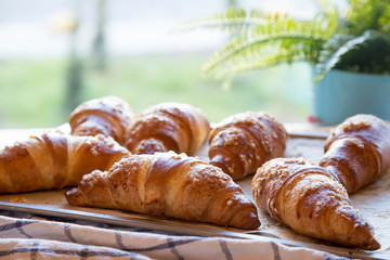 Freshly baked hot croissants on a tray