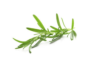 Fototapeta premium Fresh rosemary on white background