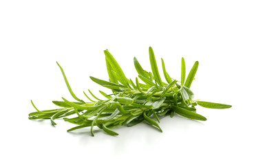 Fresh rosemary on white background