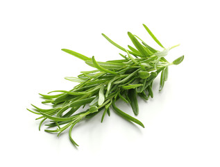 Fresh rosemary on white background