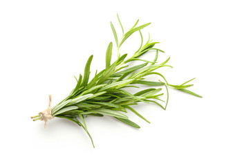 Fresh rosemary on white background