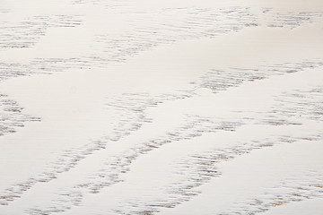 Wooden texture, closeup