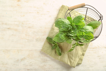 Metal basket with fresh basil on wooden table