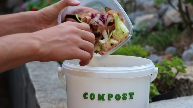 Kitchen scraps. Fruit and veg peelings. Organic waste for compost with vegetables, fruits, teabags and eggshells