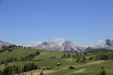 Fototapeta na wymiar Seiseralm im Frühling mit Dolomiten, Südtirol, Italien, Europa