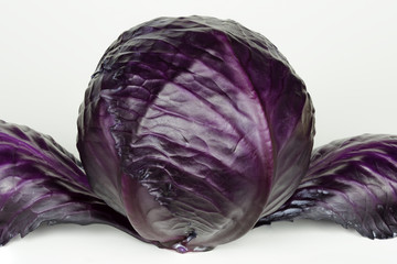 purple cabbage on white background