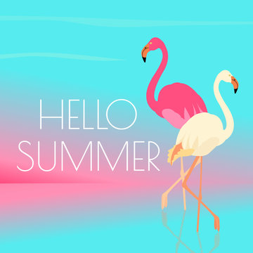 Pink and white flamingos standing in water on one leg. Exotic bird made in flat style. Hello summer vacation concept. Vector illustration.