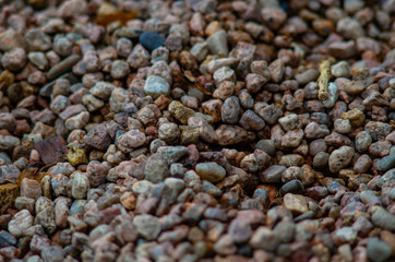 Pebbles for Playground