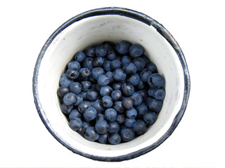Assorted in a small white vintage mug in the forest a juicy ripe blueberry on a white background