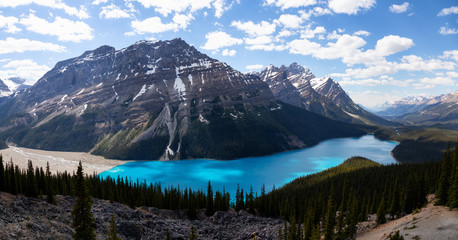 Peyto Lake viewed from the top of a mountain during a vibrant sunny day. Taken in Icefields Parkway, Banff National Park, Alberta, Canada.