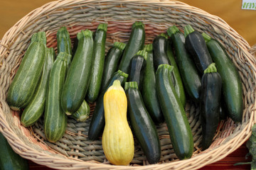 Fresh zucchini and squash at the farmer's market.