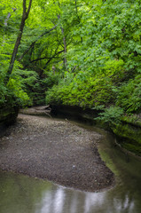 635-75 LaSalle Canyon and Creek In Summer