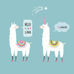 llamas illustration, cards design © LenLis