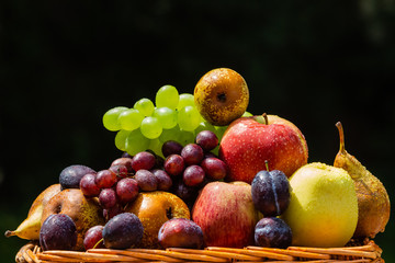 Fruit in the garden - apples, pears, plums and grapes