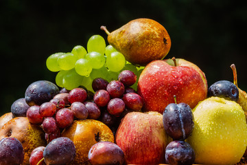 Fruit in the garden - apples, pears, plums and grapes