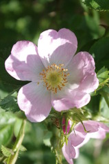 What I see in England