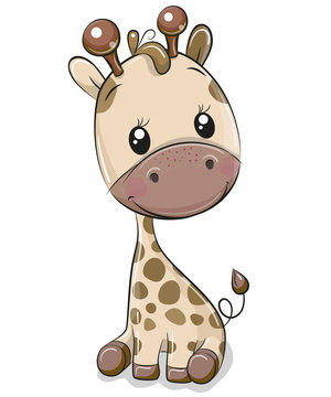 Cute Giraffe isolated on a white background