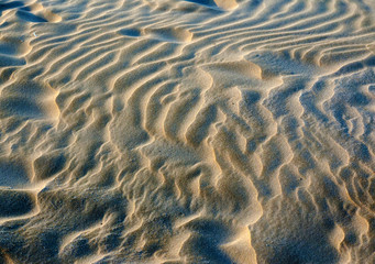Fototapeta na wymiar Natural texture background - sand