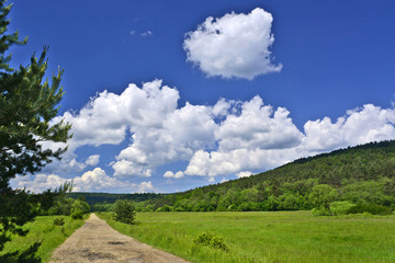 Dirt road through the green fields and forest on a blue sky with white clouds
