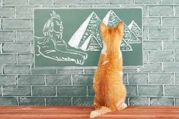 Red sunny cat, the sacred animal of the ancient Egyptians before the image of the Egyptian Sphinx...