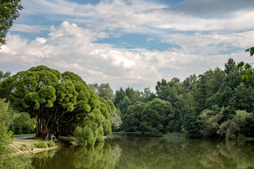 Fototapeta na wymiar Summer pond in the Izmaylovsky park