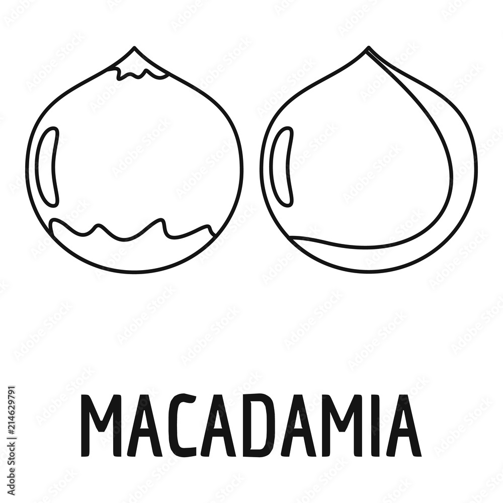 Sticker Macadamia icon. Outline illustration of macadamia vector icon for web design isolated on white background