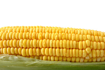 Raw corn, yellow corn, isolated, white background