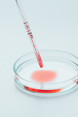 close-up shot of blood pouring from pipette into petri plate for examination