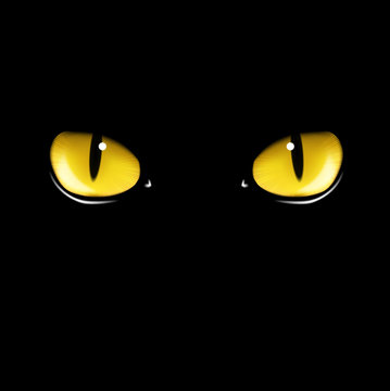 Black cat's eyes vector illustration