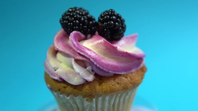 A delicious and appetizing capkake rotates with blackberries on a blue background.