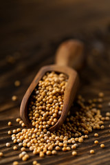 Heap of raw, unprocessed mustard seed kernels in wooden scoop on rustic wood table background
