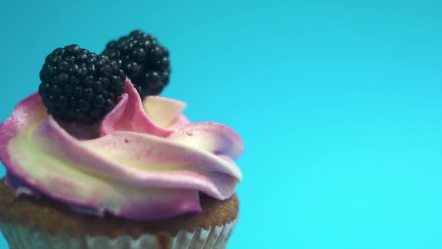A delicious and appetizing capkake rotates with two blackberries on a blue background.