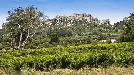 Fototapeta na wymiar Les Baux-de-Provence historic castle with grape vines in the foreground. Bouches du Rhone, Provence, France, Europe.