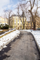 Naklejka premium A Park in the Snow