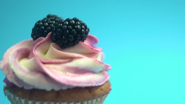 A delicious and appetizing capkake rotates with two blackberries on a blue background.