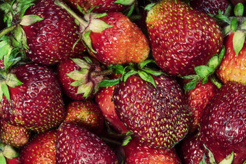 Strawberry as a background, close-up, top view.