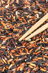Black wild rice